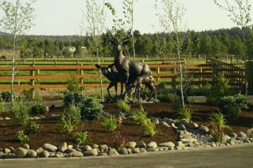 Landscape Installation